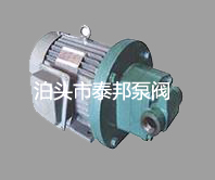 YHB電動(dòng)潤滑油泵